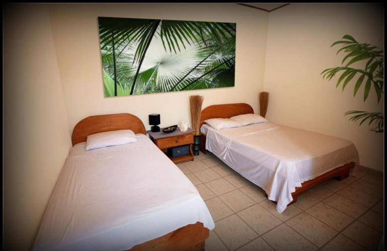 Hotel Blue Palm Jacó Buitenkant foto