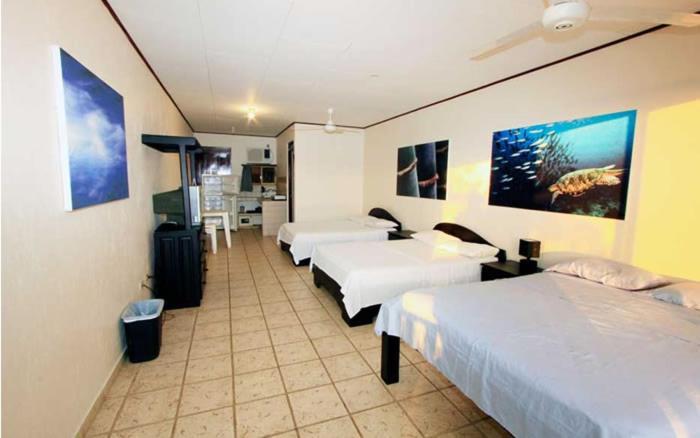 Hotel Blue Palm Jacó Buitenkant foto